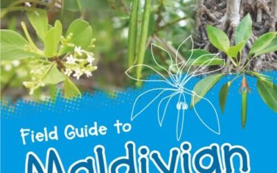 Field guide to Maldivian Mangroves